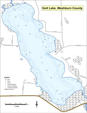 Gull Lake Topographical Lake Map