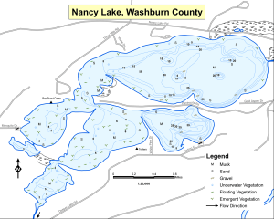 Nancy Lake Topographical Lake Map