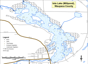 Iola Lake (Iola Millpond) Topographical Lake Map