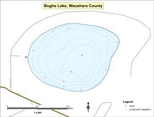 Bughs Lake Topographical Lake Map