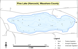 Pine Lake (Hancock) Topographical Lake Map