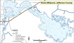 Rome Mill Pond Topographical Lake Map