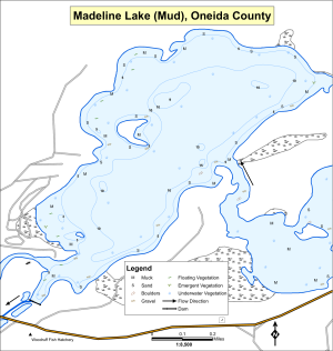 Madeline Lake (Mud) Topographical Lake Map