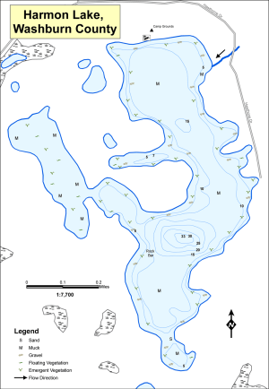 Harmon Lake Topographical Lake Map
