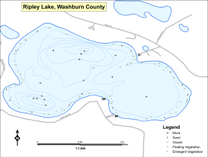 Ripley Lake (Big Ripley) T37NR12WS04 Topographical Lake Map