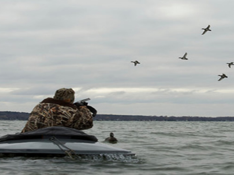 Bills & Gills Guide Services