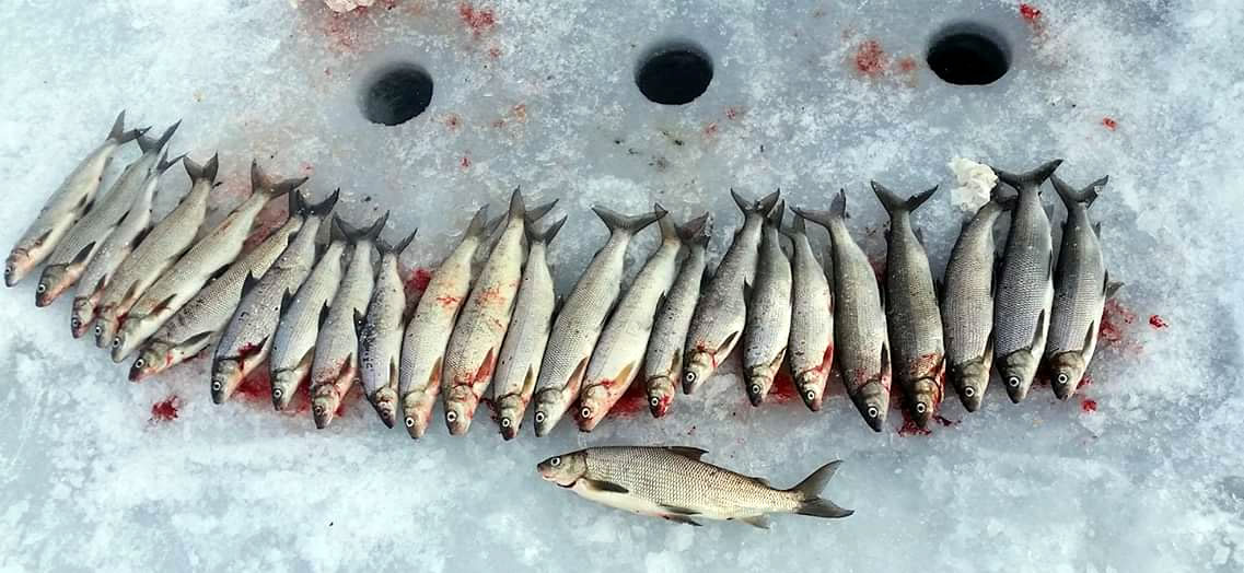 DeWolfe Ice Fishing