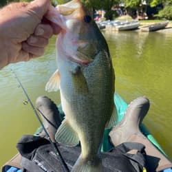Caught by Rich Lenny