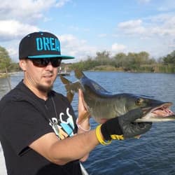Caught by Jared Gibbs