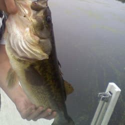 Caught by Cord Guyette
