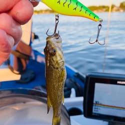Caught by Rick Thruman