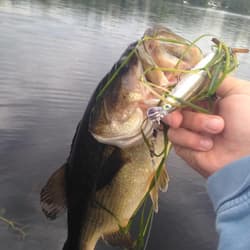Caught by Ben Pawlak