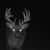 hunt4horns14