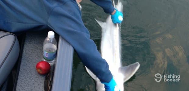 Business Card: Rivertrek NW  -  Sturgeon Fishing