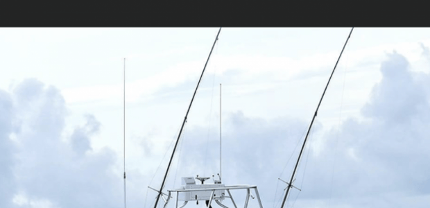 Business Card: Backin' Up Sportfishing Charters