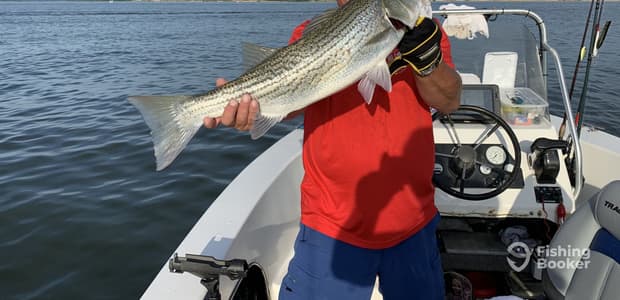 Business Card: Bill Miller Texoma Striper Guide