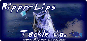 LOCAL.client.businessName