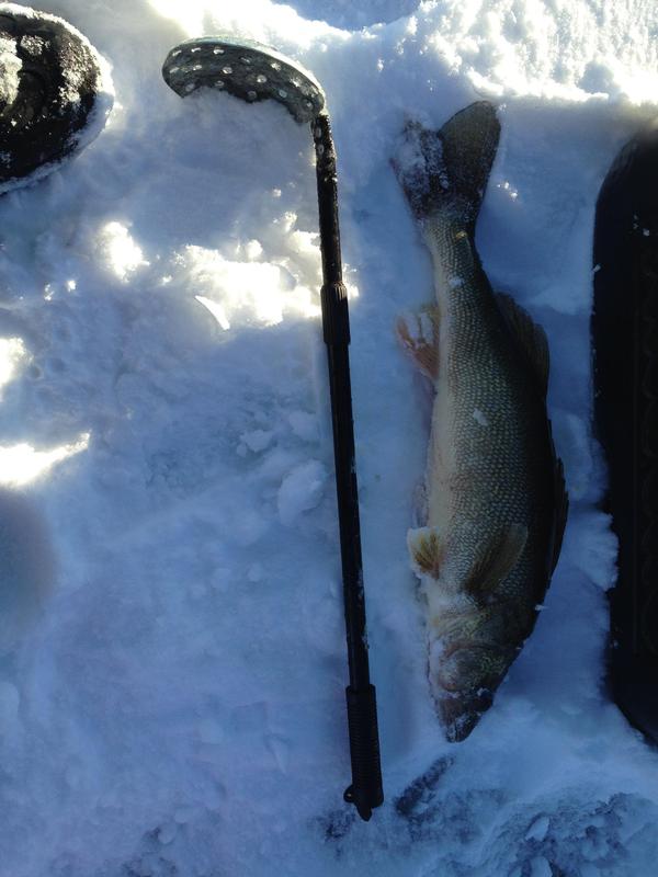 Photo Gallery For North Golden Lake Steele County North Dakota