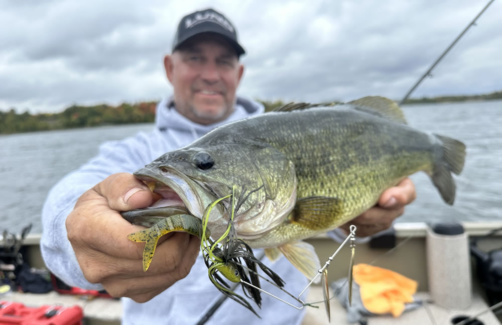 The Bio-Blade Spinnerbait with a nice largemouth bass