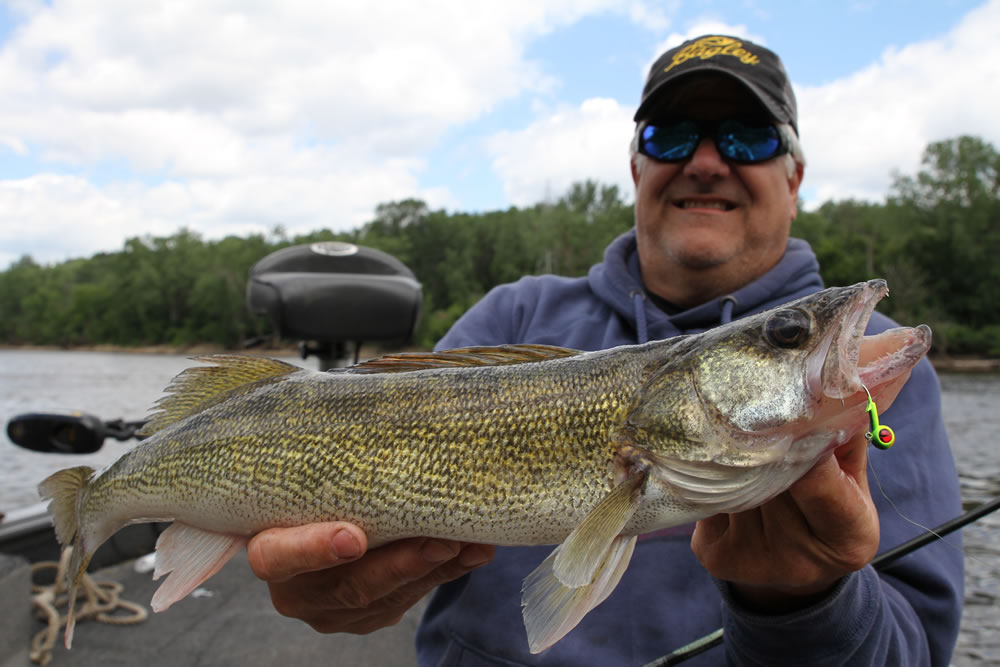 Mississippi River Pools can be hot for jigging walleye