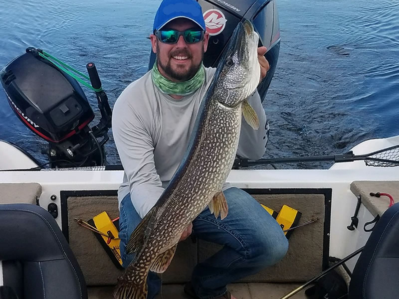 Pike fishing can be exciting on Rainy Lake Minnesota