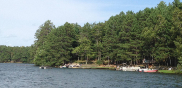 Business Card: Jackson's Lakeside Cottages