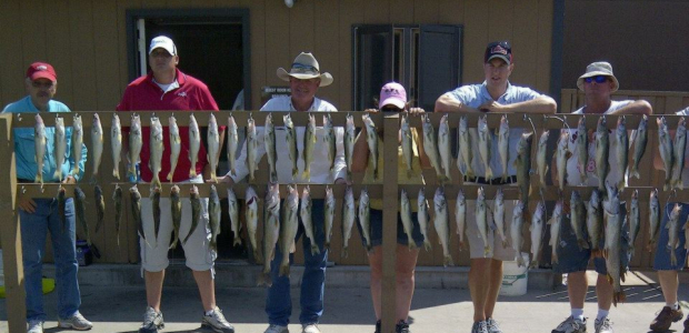 Fish With a South Dakota Pro