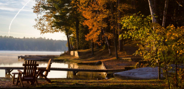 Business Card: Black Bear Lodge
