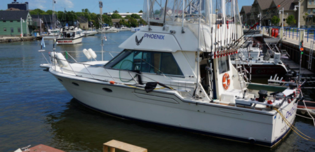 Business Card: Action Adventures Phoenix Charters