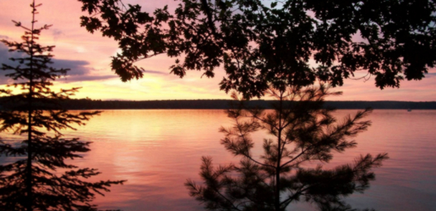 Business Card: Sunset Cove Resort