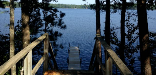 Business Card: Maplewood Resort
