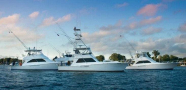 Business Card: Reel Action Sport Fishing Charters