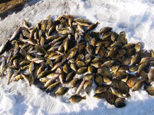 Otter Tail Lake Otter Tail County Minnesota Fishing Reports And Otter Tail Lake Otter Tail County Minnesota Fishing Reports And