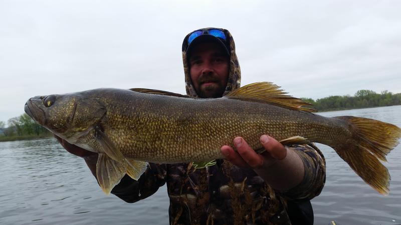 Mississippi River Pool 8 - LaCrosse Fishing Reports and ...