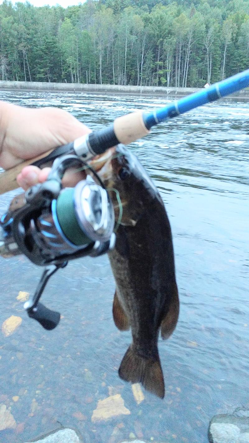 Menominee River Dickinson County Michigan Fishing Reports And 