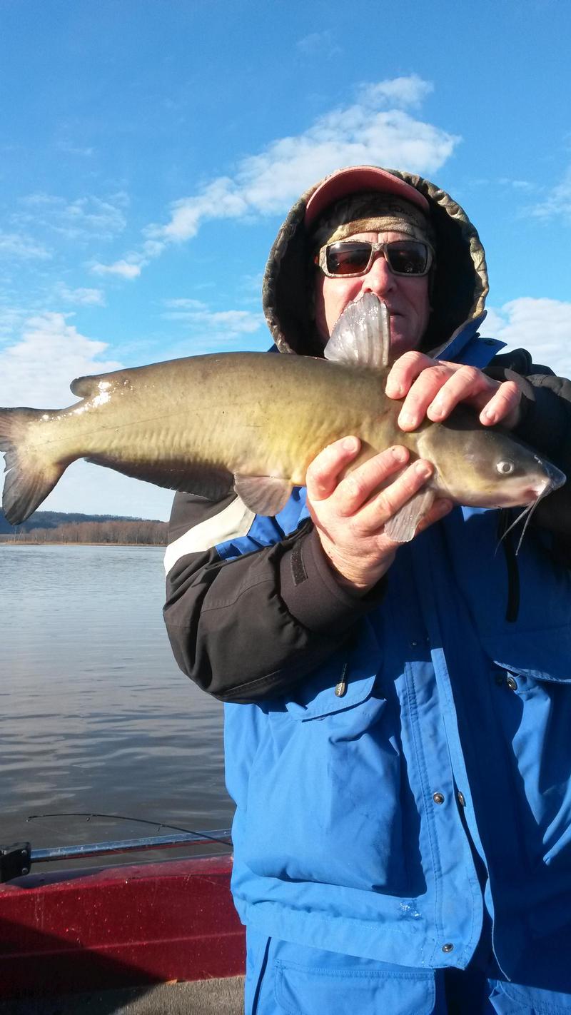 Mississippi River Pool 9 - Genoa Fishing Reports and ...