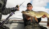 Killer Late-Fall Musky Presentations and Considerations on Early Ice