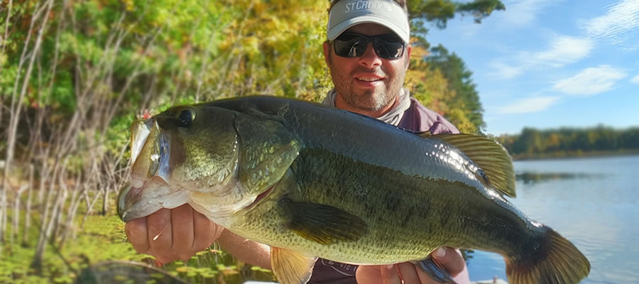 Techniques for Better Bassin': Part One - Learn or refine these techniques to improve your bass fishing success in 2022
