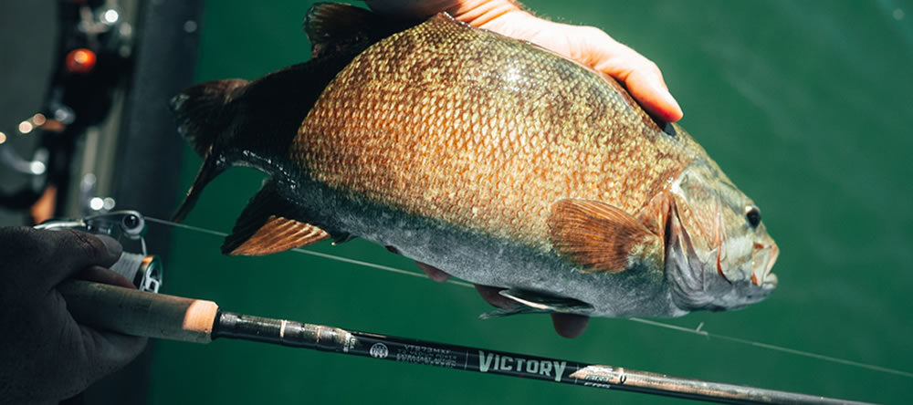 Tips for Early-Summer Smallmouth Success - Experts share techniques for big brown bass bites