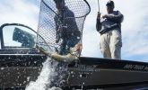 Serious New Tools for Avid Walleye Anglers