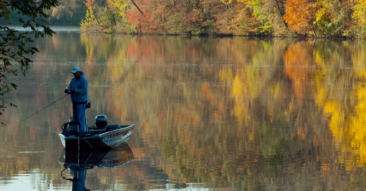 Finding Fall Fish