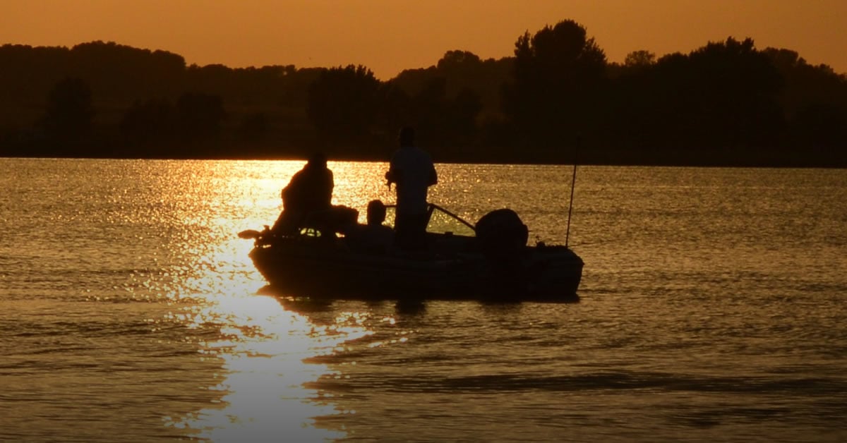 Night Bite Walleyes