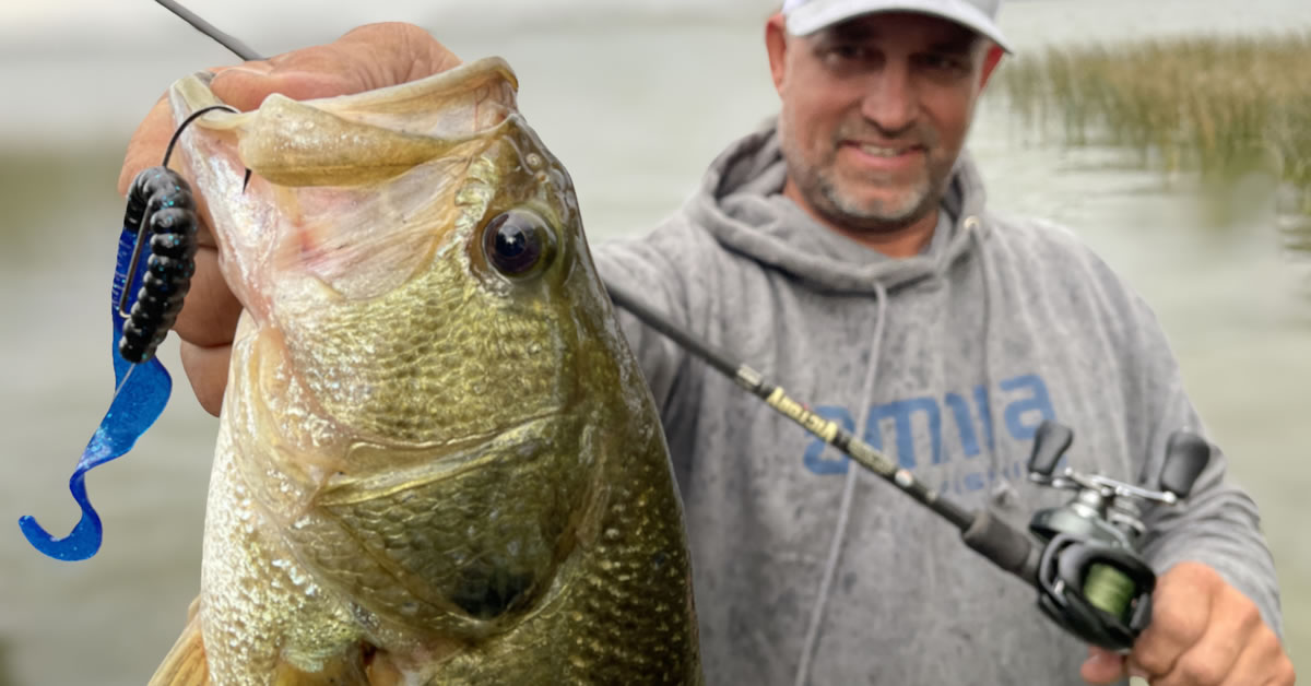 Catch More Bass This Summer Texas-Rigging