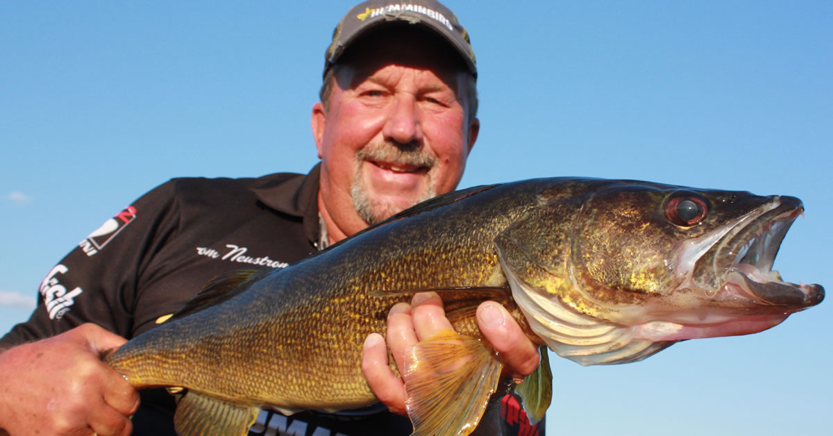 Fall Walleyes: Shallow From Shore