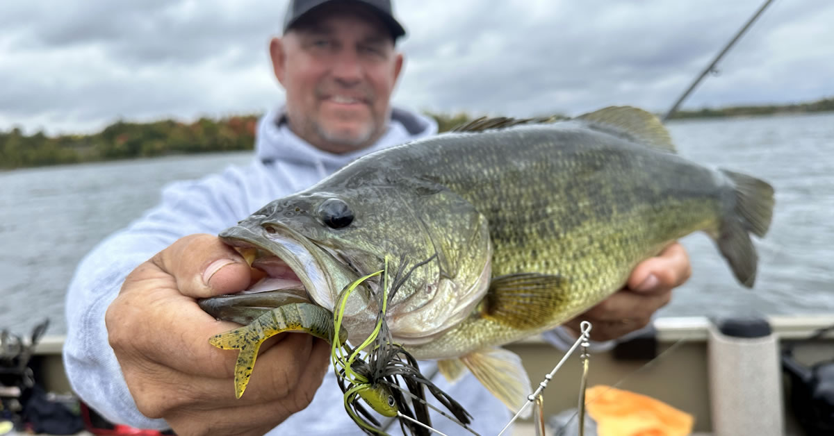 Two Must-Have Fall Bass Baits