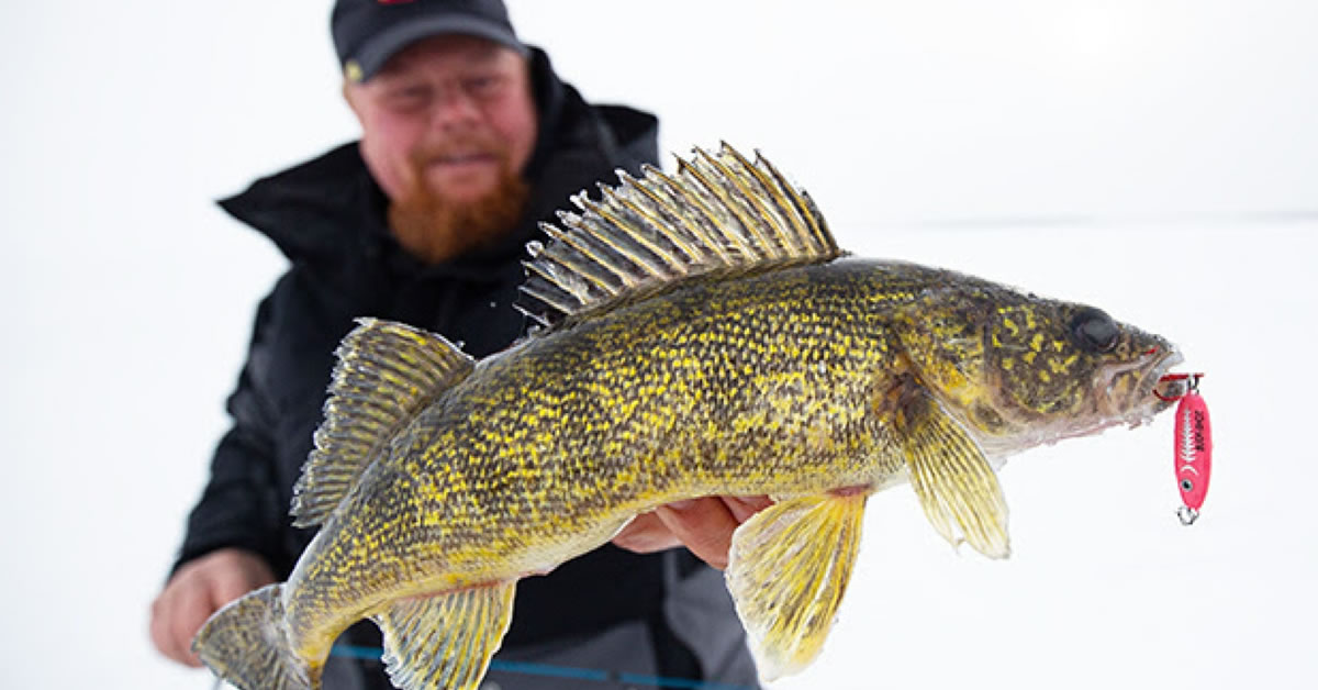 Mid-Ice Walleyes: 4 Guide Tactics & Tips 