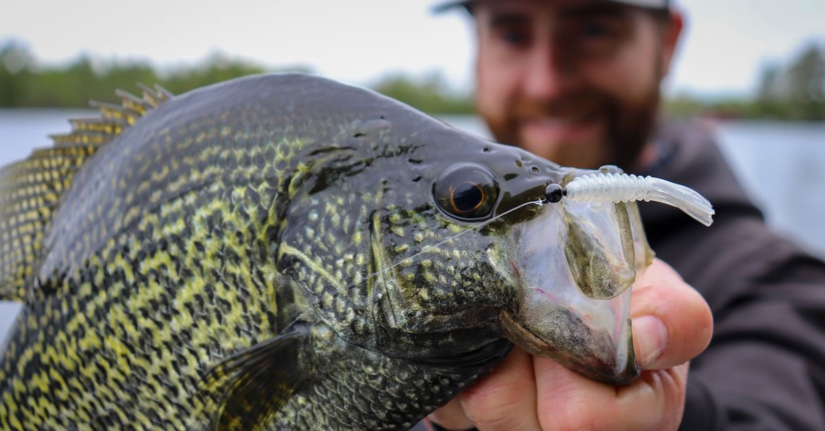 Catch More and Bigger Spring Panfish