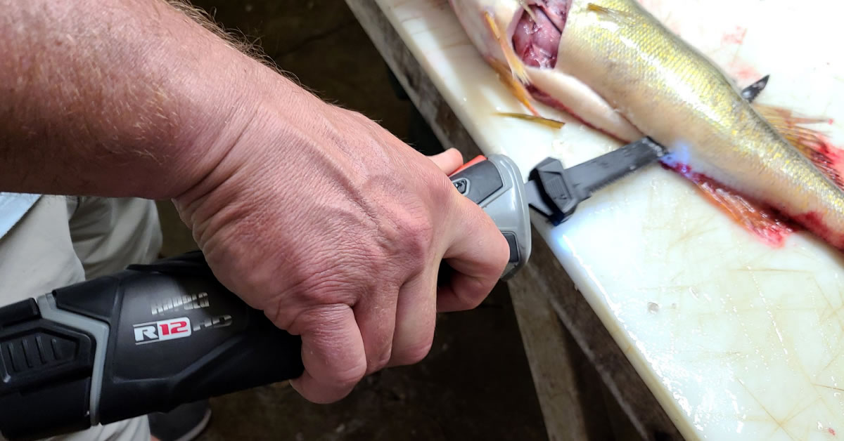 How To Clean Fish Like A Pro