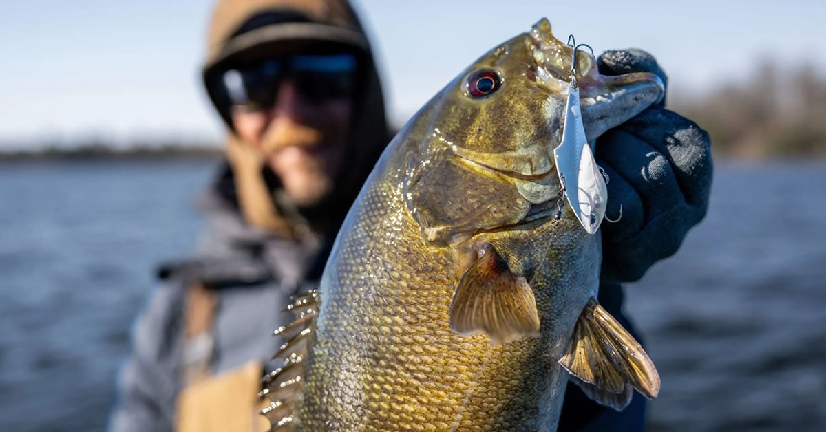 Blade Bait Fishing for Cold Water Bass