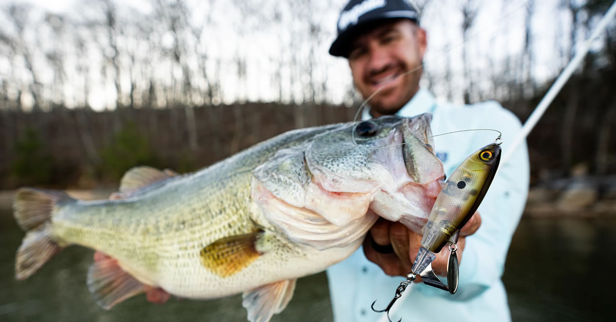 Introducing the Rapala ClapTail 110